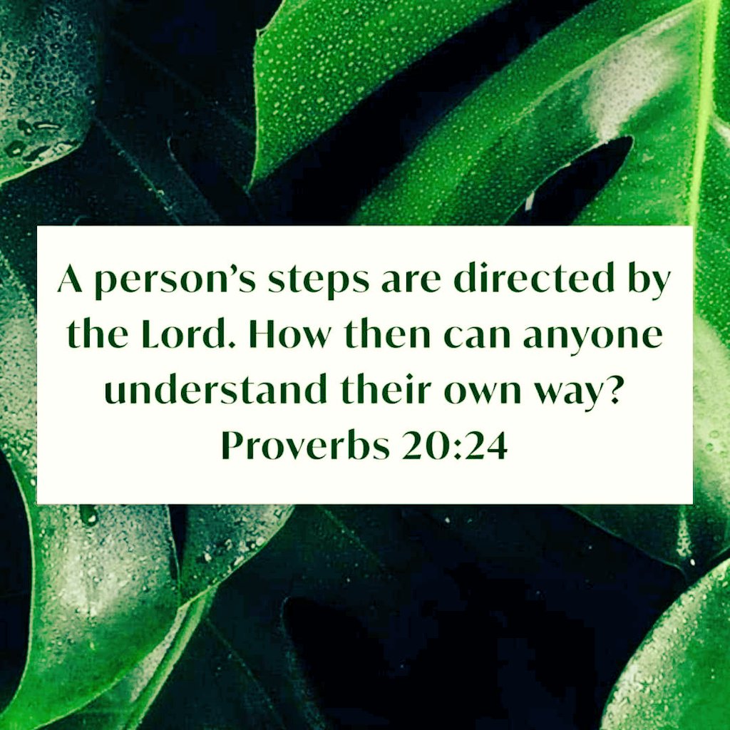 4showuright's tweet image. #WisdomFromProverbs
Our lives are N🚫T a series of random events or coincidences but a journey overseen by a l🫀ving &amp;amp; Sovereign God. He has a purpose &amp;amp; a plan 4 each of us, and He guides us w/ Wisdom that surpasses our understanding.
#Proverbs20
#Proverbs20v24
#PurposefulLiving