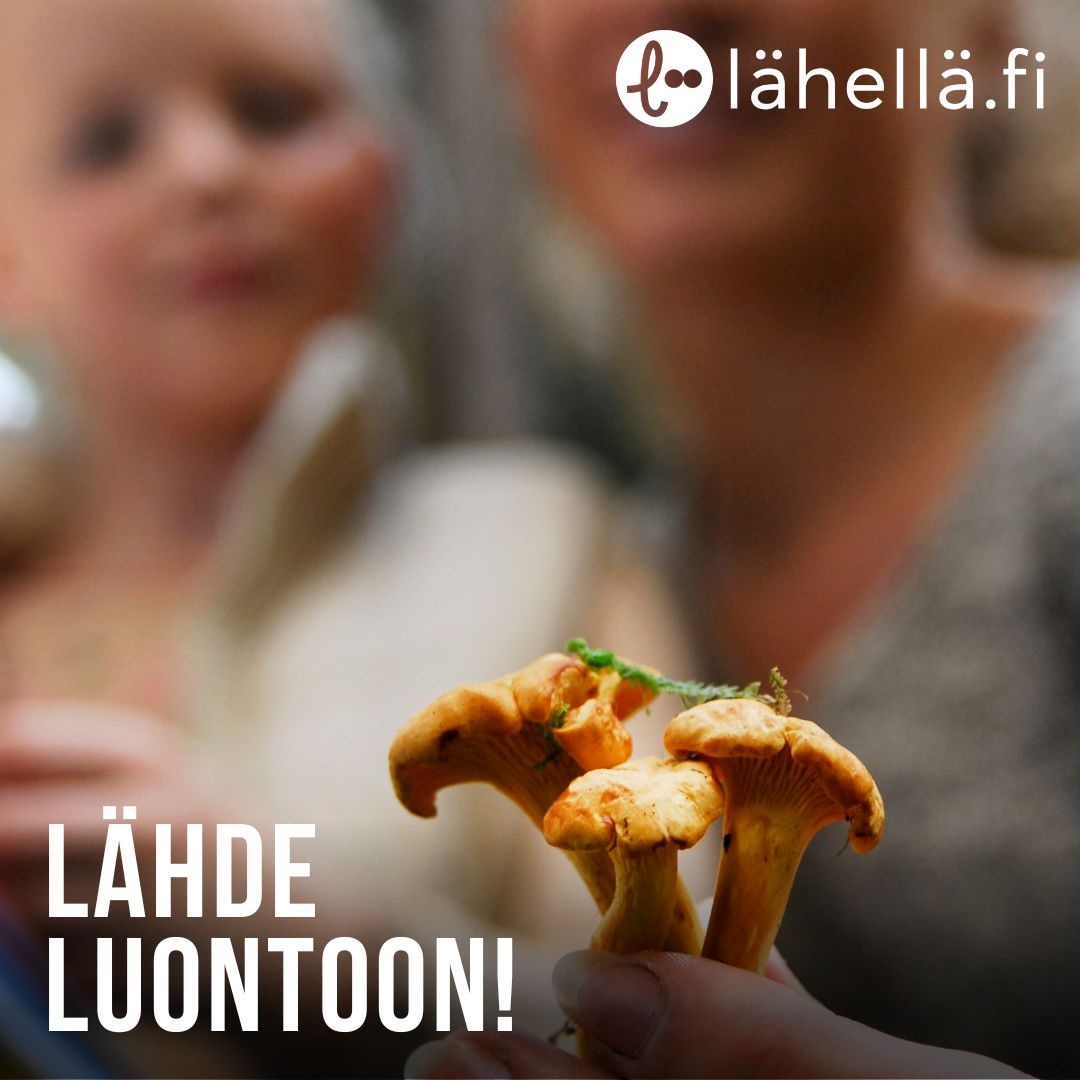 Syksyinen luonto kutsuu ulkoilemaan ja liikkumaan. Ja mikäs onkaan mukavampaa kuin lähteä vaikka metsäretkelle hyvässä seurassa!
Yhdistysten luontotapahtumissa opit mm. tunnistamaan sieniä ja tutustut alueesi luontoon.
Tutustu alueesi tarjontaan: lahella.fi.
#lähellä