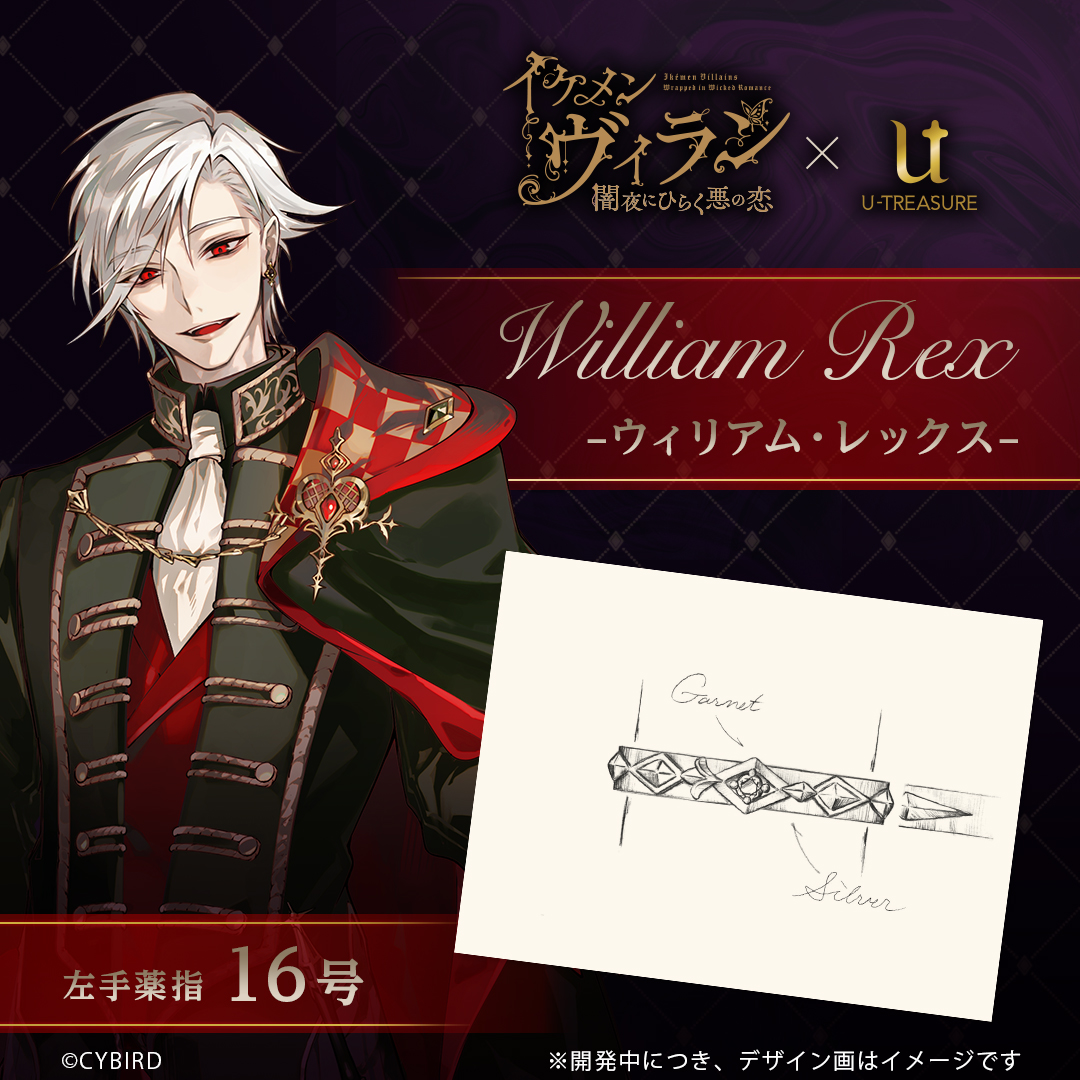 ◇・・┈┈┈┈┈・・◇ イケメンヴィラン VILLAIN's FESTIVAL 2024