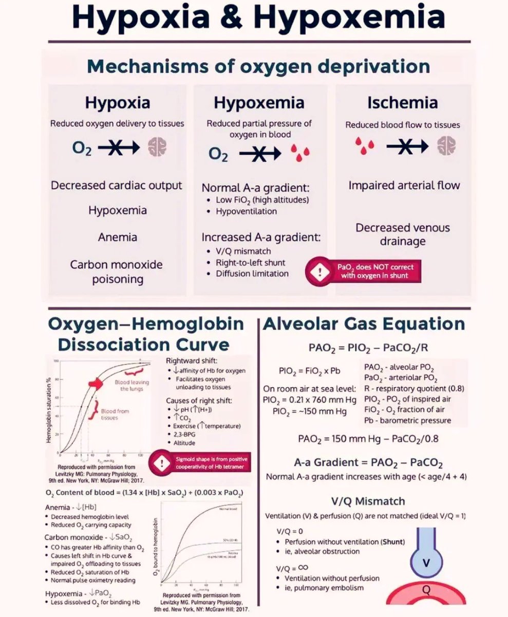 Hypoxia &amp; Hypoxemia