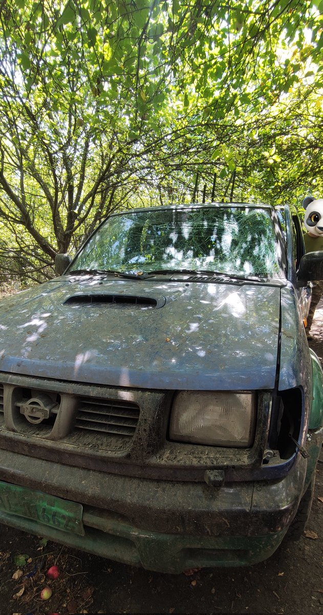 Підараси постійно обстрілюють. За два дні (на тому тижні) мінус скло на двох машинах. Лобовуху на одному вже замінили коштами взводу. Бокові на обох нє. Ну маленьке то зробили, з оргскла, а от на дверцятах поки заскочтовані, бо шукають чим замінити