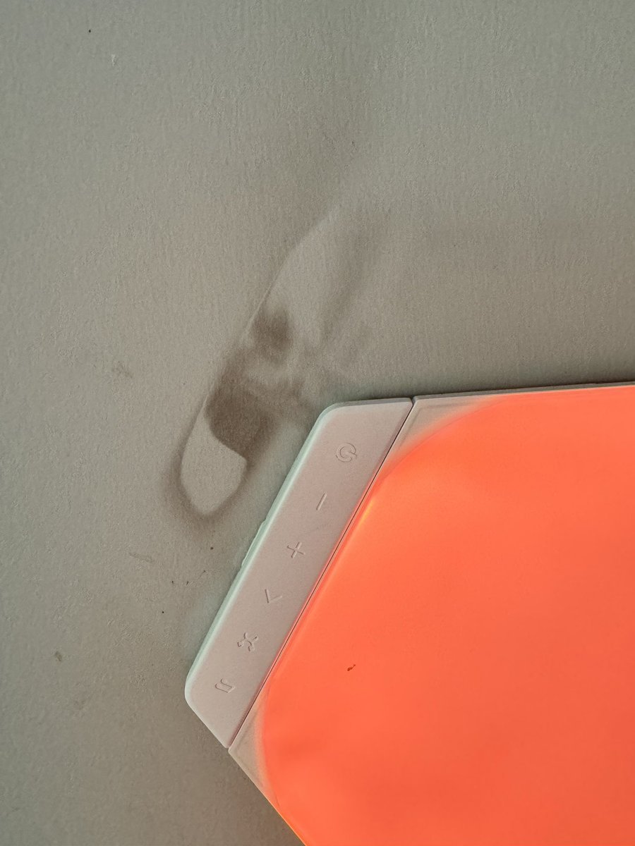 Sophie Hamilton tweet media