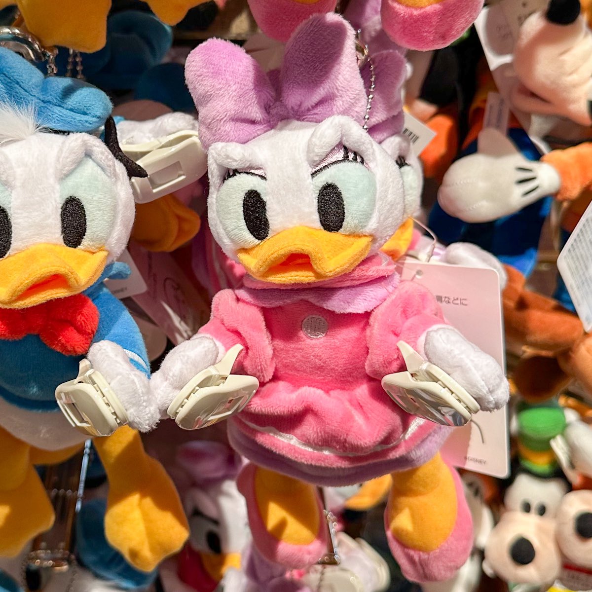 ドナルド、デイジーの肩のせぬいぐるみが再販されました☆ ぬいぐるみ デイジー