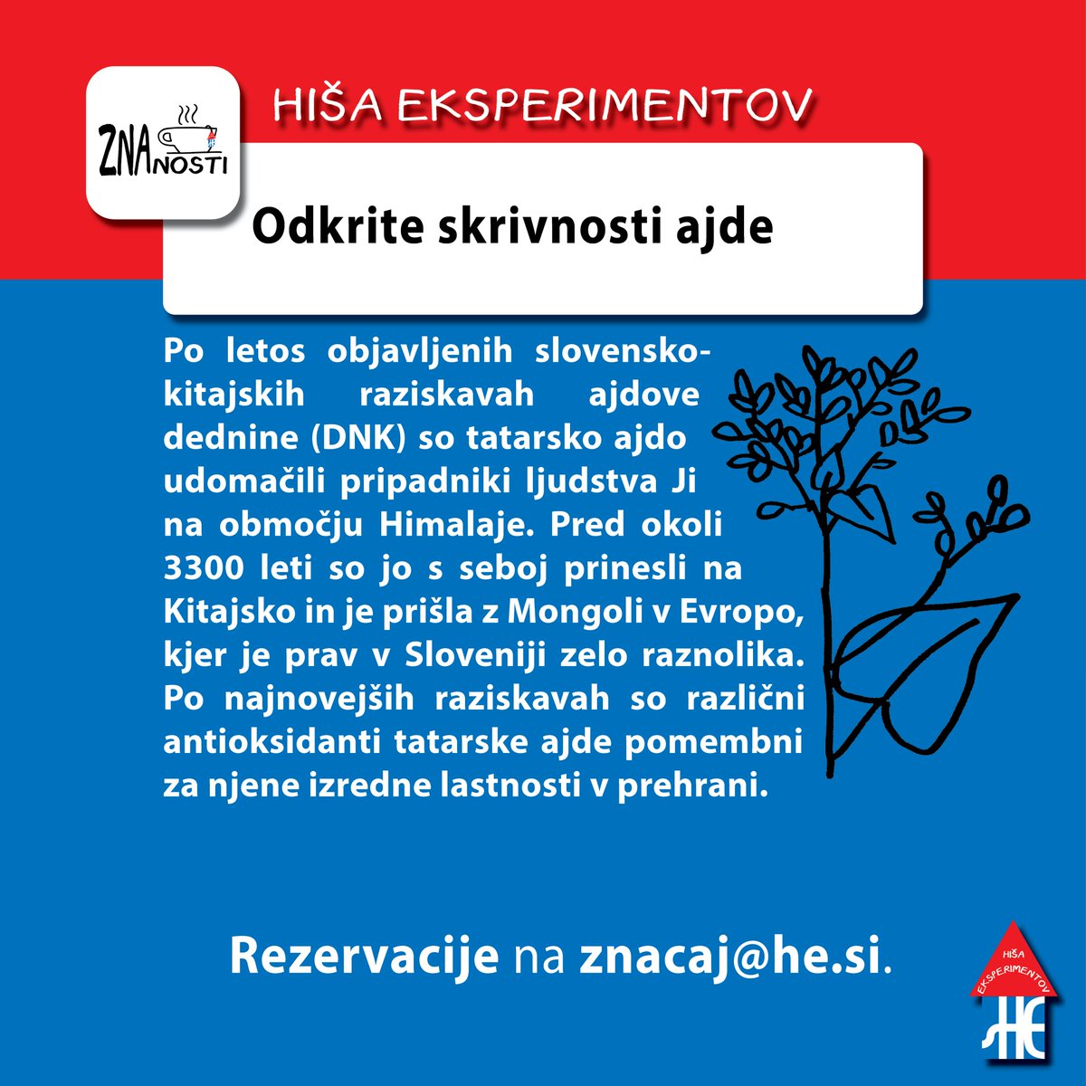 Ob svetovnem dnevu ajde gostimo poljudnoznanstveno predavanje "Odkrite skrivnosti ajde".
Predavatelj dr. Ivan Kreft bo govoril o koristnih prehranskih lastnostih tatarske ajde, njenem izvoru in še čem.
Na voljo bodo hrustljave palčke in čaj iz tatarske ajde. 
Vstopnine ni.