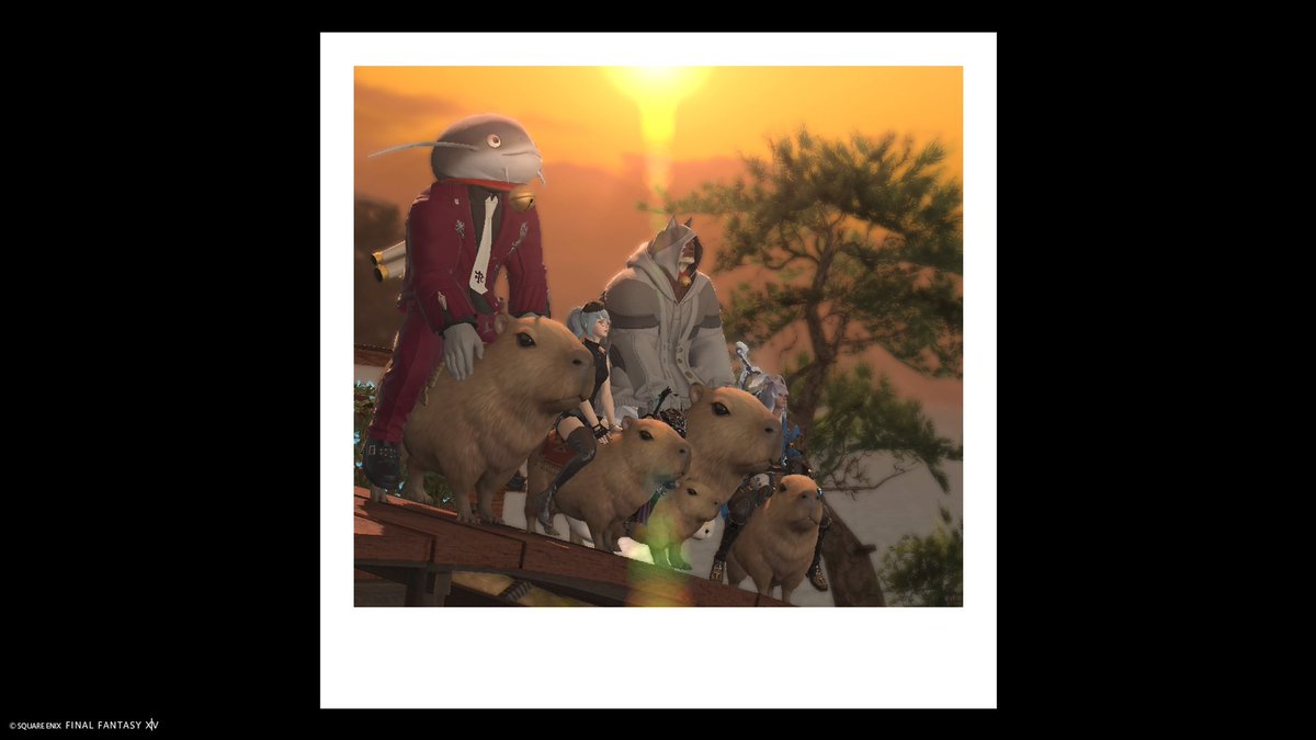 Eve_Licorne's tweet photo. シロガネの地に新たな家族あり
種族も性別も出身もバラバラなれど
我々SCRは家族なり
いつもありがとう!!!!!
#FF14 #FF14SCR https://t.co/awdcsphmQG
