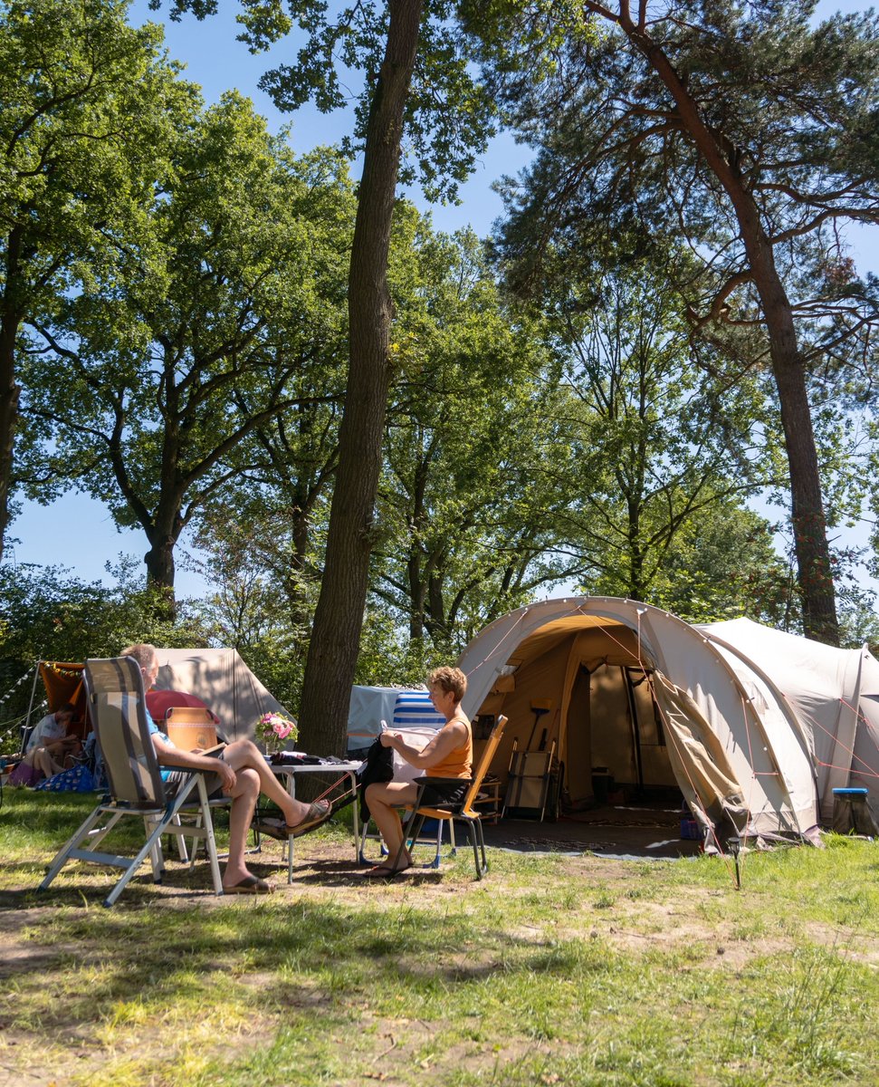 In september kun je profiteren van onze lage prijzen voor het kamperen. Zo boek je al een nachtje een kampeerplek vanaf €21,-! Deze prijs is inlcusief 2 volwassenen, 1 kampeermiddel, 4 amp stroom en 1 auto op onze parkeerplaats 👉🏻 betteldzelhem.nl/vakantie/kampe…