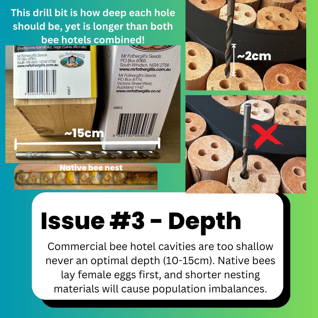 🚨Store Bee Hotels are Terrible for Native Bees 🐝 ☠️ ⚠️ 

**Please Share**

Now that the warmer weather is arriving and native bees are starting to appear it’s important that people know that buying bee hotels from Bunnings and Aldi is bad for native bees and do worse than good
