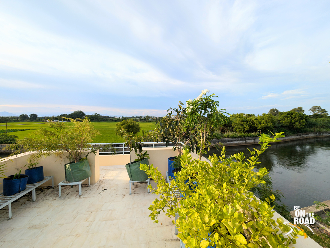 Lush paddy views, full irrigation canals, colourful flowers, buzzing activity of bees n butterflies, mating dances of peacocks n nest building of birds. My small slice of heaven in rustic #TamilNadu.

bit.ly/LushViewsOfKal…

#RuralHolidays #IncredibleIndia #Kallidaikurichi