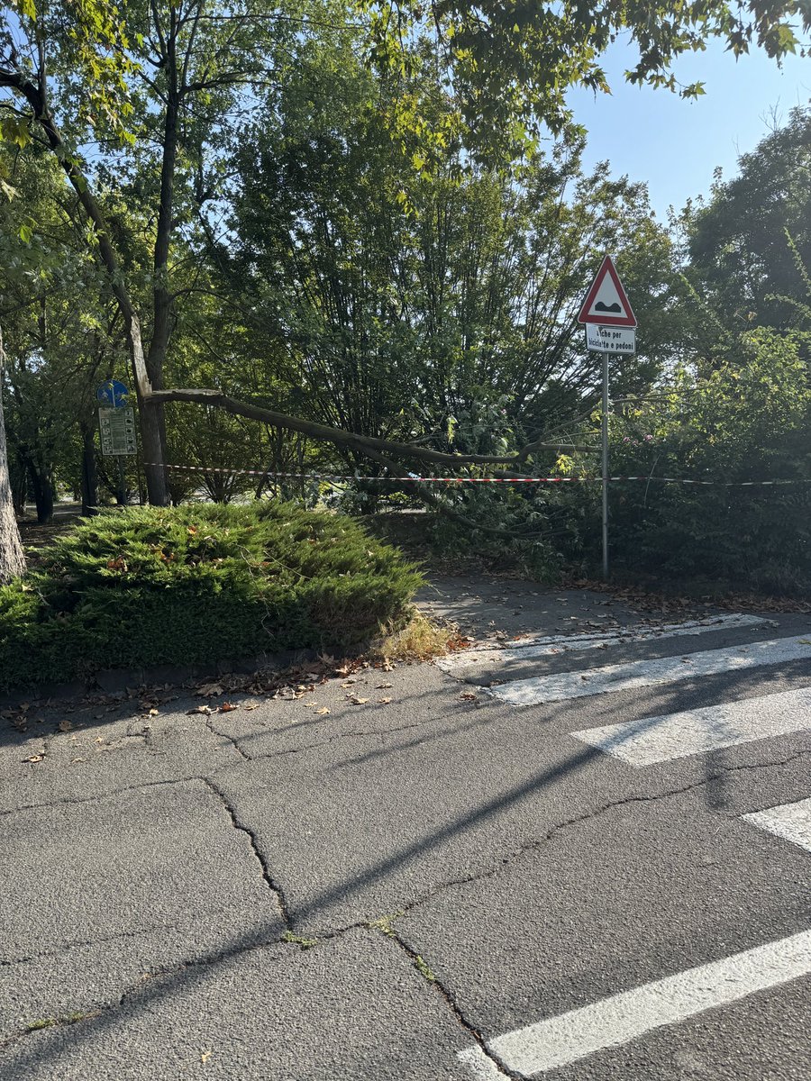 R34.C1UB tweet media