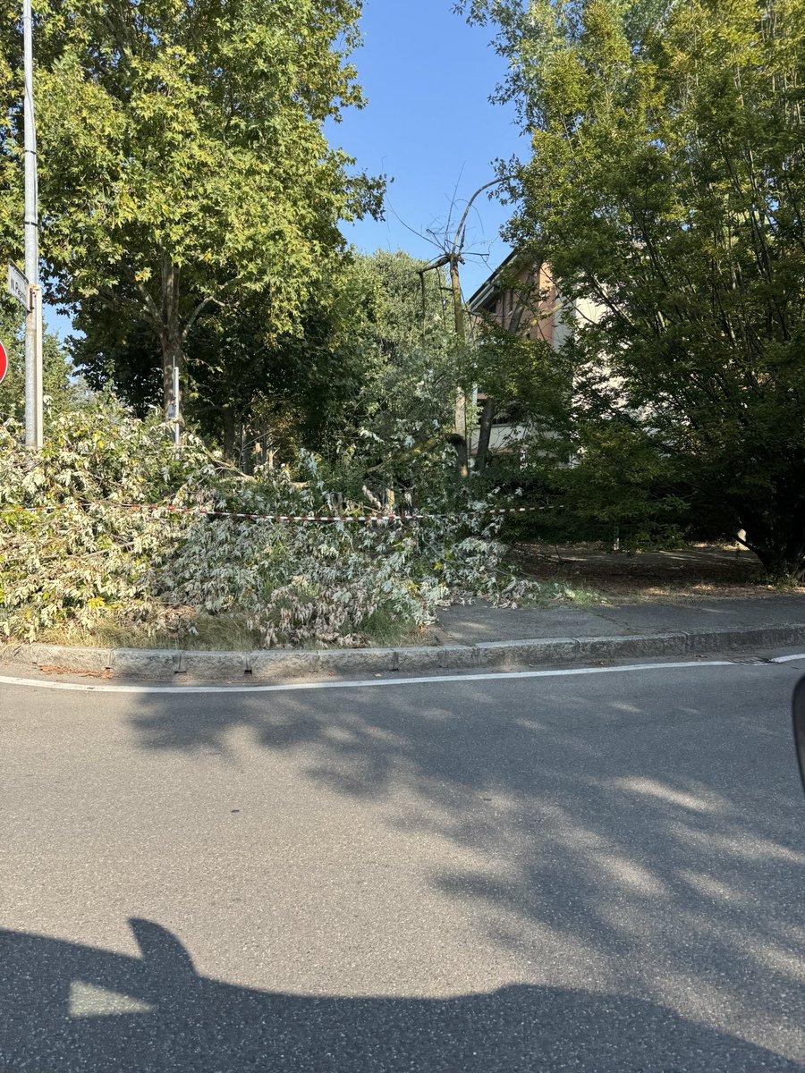 R34.C1UB tweet media