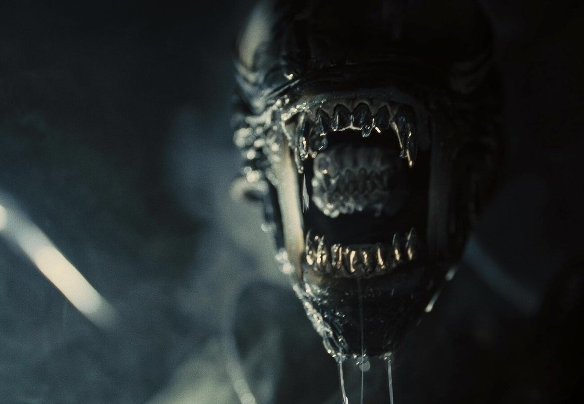 Me ENCANTAN las pelis de Alien, MUCHO. Pero MUCHO MUCHO.

De igual forma, dentro del SEO, me ENCANTA el Link Building y lo llevo haciendo, a mi manera, desde 2009.

Desde entonces, he construido MILES de enlaces de todo tipo y (casi) nunca los he comprado.

¿Quieres conocer 42