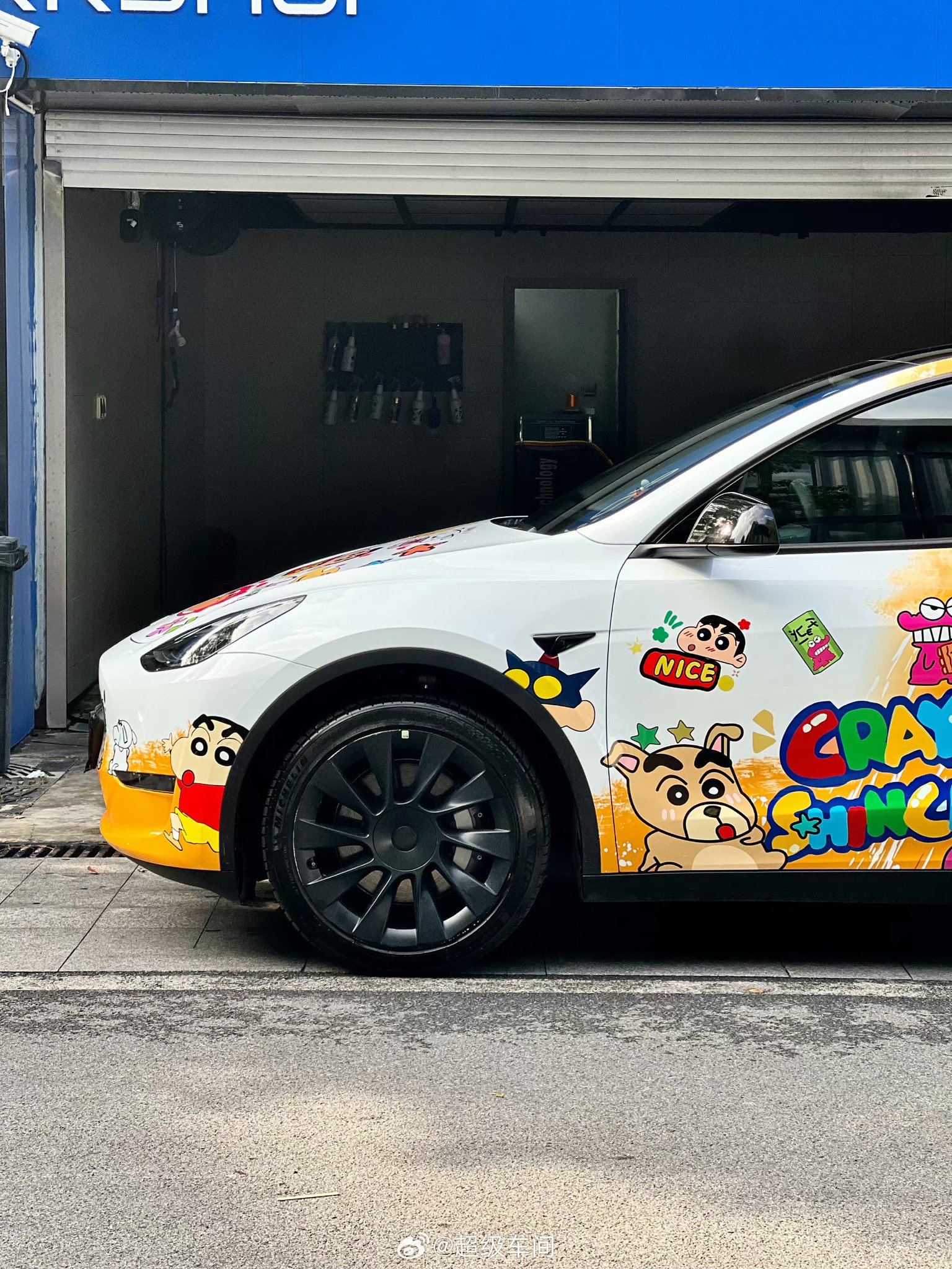 animal car 様専用Super Cat Mandela Land