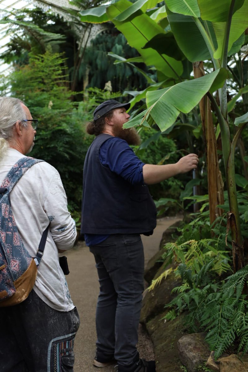 Saul Walker (@gardeningsaul) on Twitter photo Day two of the <a href="/Tender_Plant/">RHS Tender Ornamental Plant Committee</a> study tour in #Scotland, thoroughly enjoyed the <a href="/GlasgowBotanic/">Glasgow Botanic Gdns</a> yesterday, now off to somewhere I've dreamt of visiting for a decade or so - <a href="/LoganBotanicGdn/">Logan Botanic Garden</a> - the #exotic jewel in the North. 'Kid in a sweet shop' time! #plants #people Day two of the <a href="/Tender_Plant/">RHS Tender Ornamental Plant Committee</a> study tour in #Scotland, thoroughly enjoyed the <a href="/GlasgowBotanic/">Glasgow Botanic Gdns</a> yesterday, now off to somewhere I've dreamt of visiting for a decade or so - <a href="/LoganBotanicGdn/">Logan Botanic Garden</a> - the #exotic jewel in the North. 'Kid in a sweet shop' time! #plants #people