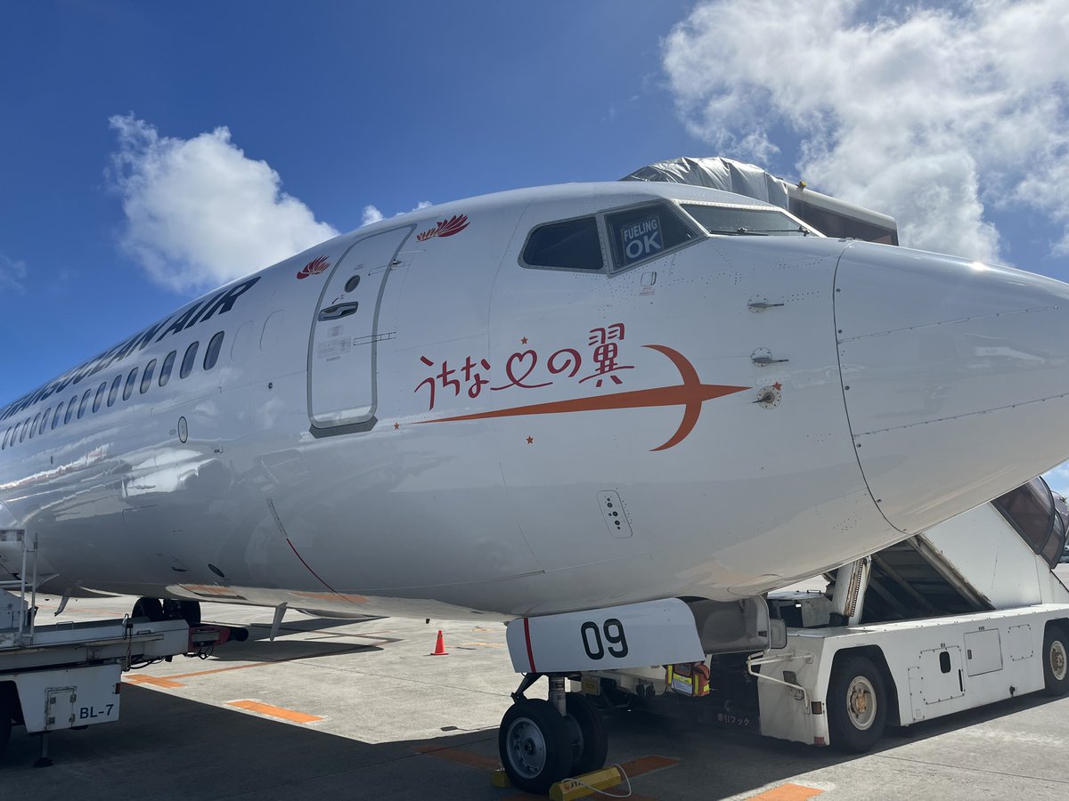 🗣️ JTA機体には『#うちなーの翼』 ロゴマークがあるのを知っています