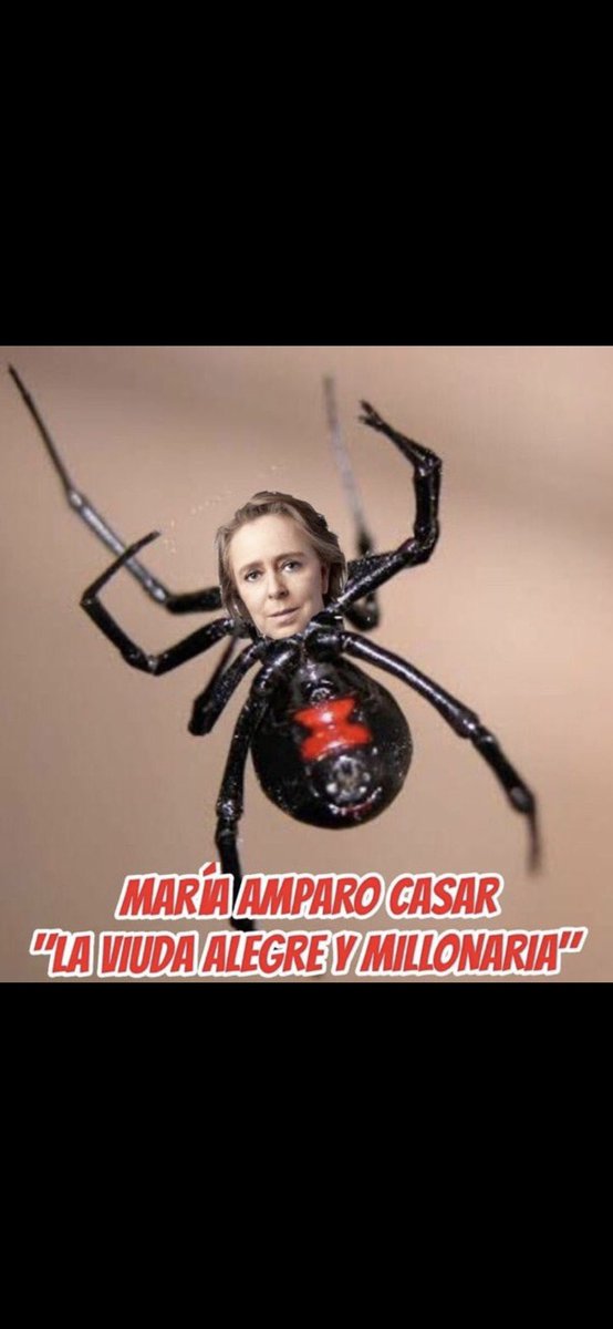LudensLilith's tweet photo. @CiroGomezL @amparocasar @MXvsCORRUPCION ¿En qué momento esta #rateraza @amparocasar, se convirtió en un "referente moral", después de estar #defraudando al Estado con una pensión millonaria?
Tú @CiroGomezL y esta 🐀TOTA cada vez son más despreciables https://t.co/EzL607Cz4t