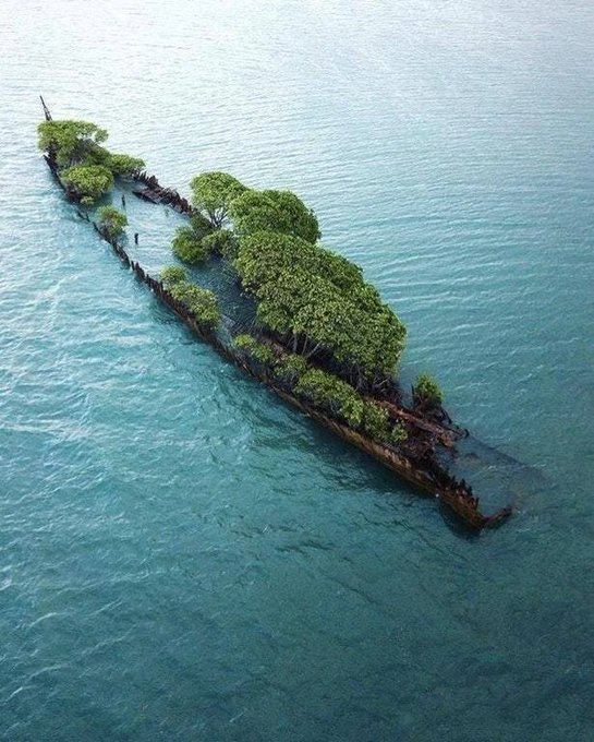 sat0oshi's tweet photo. 2. SS City Of Adelaide, un navire détruit au large de Magnetic Island, la nature à repris sa place ! https://t.co/QANZ1jJCiq