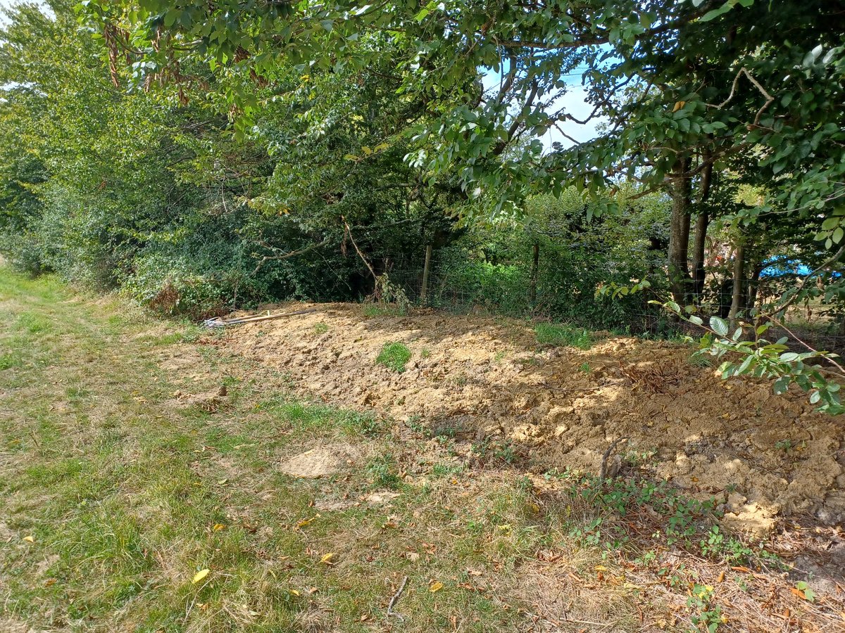 Wilder Ouse (@wilder_ouse) on Twitter photo Back to it for the Wilder Ouse project volunteers after a short summer break away.
Four scrapes, 11 leaky dams, 2 wildflower seed banks, and tree guard removal later, our work here is done!
<a href="/SussexWildlife/">Sussex Wildlife Trust 🦔</a> Back to it for the Wilder Ouse project volunteers after a short summer break away.
Four scrapes, 11 leaky dams, 2 wildflower seed banks, and tree guard removal later, our work here is done!
<a href="/SussexWildlife/">Sussex Wildlife Trust 🦔</a>