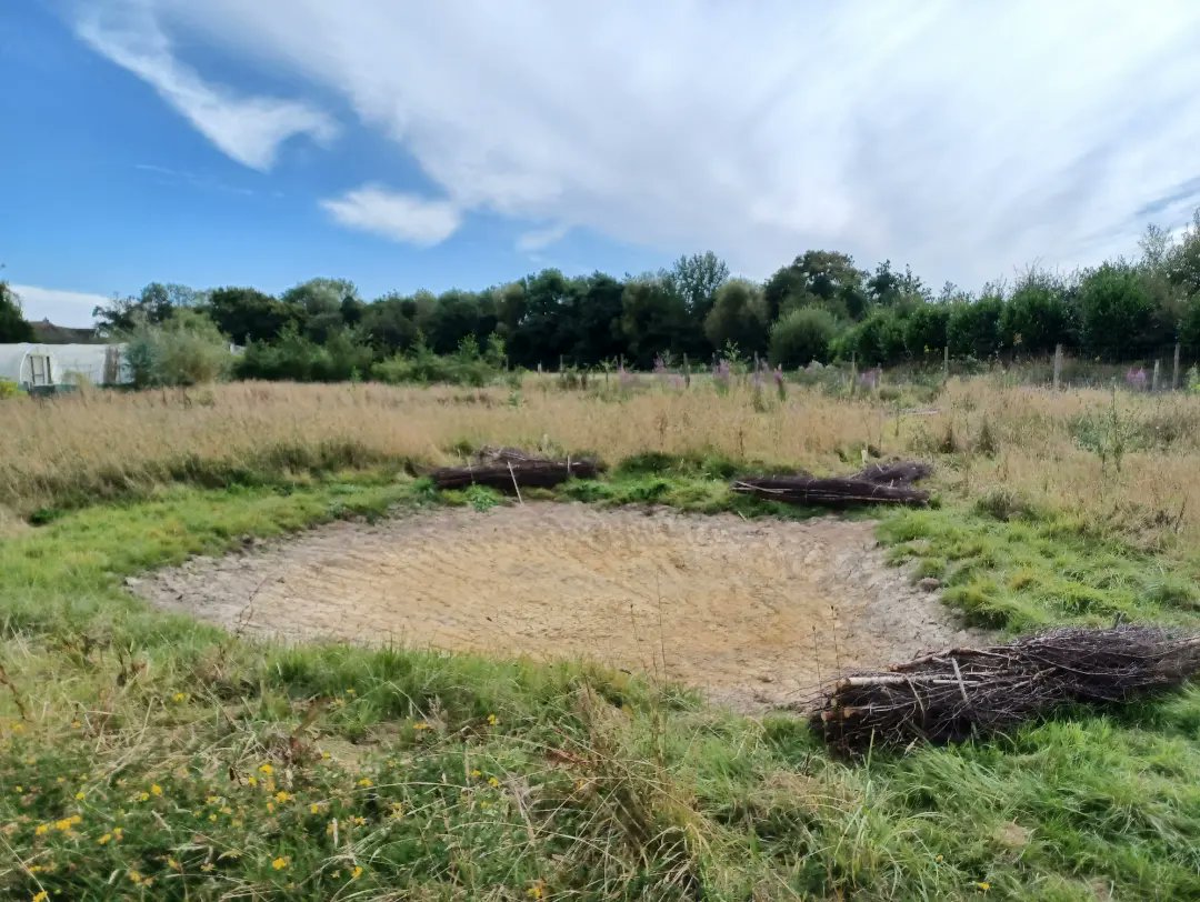 Wilder Ouse tweet media