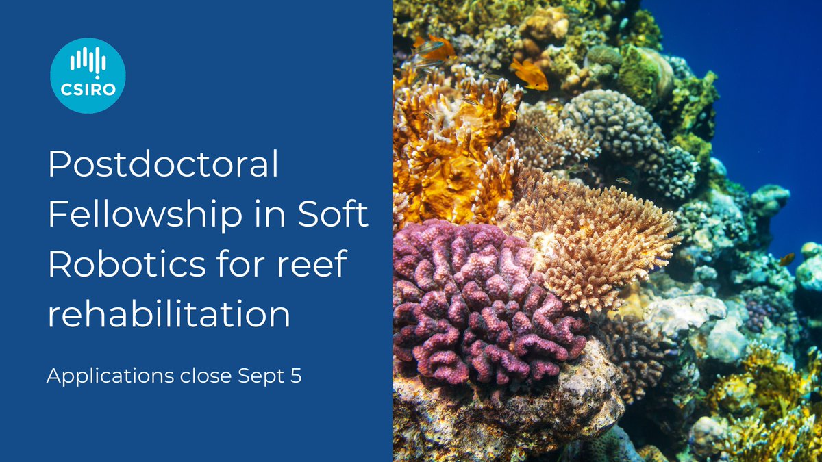 Dream job alert 🚨 

We're seeking talented Post Docs to join our Soft Robotics team and help develop shape-shifting robots that can swim amongst and replant coral 🪸 

Be part of a project that’s as rewarding as it is innovative. Apply by Sept 5th: bit.ly/3AGc58p