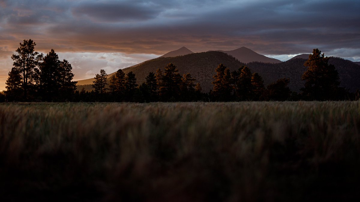 DustinLevine7's tweet photo. #Flagstaff #Arizona #StormLight https://t.co/duRdYuOUNk