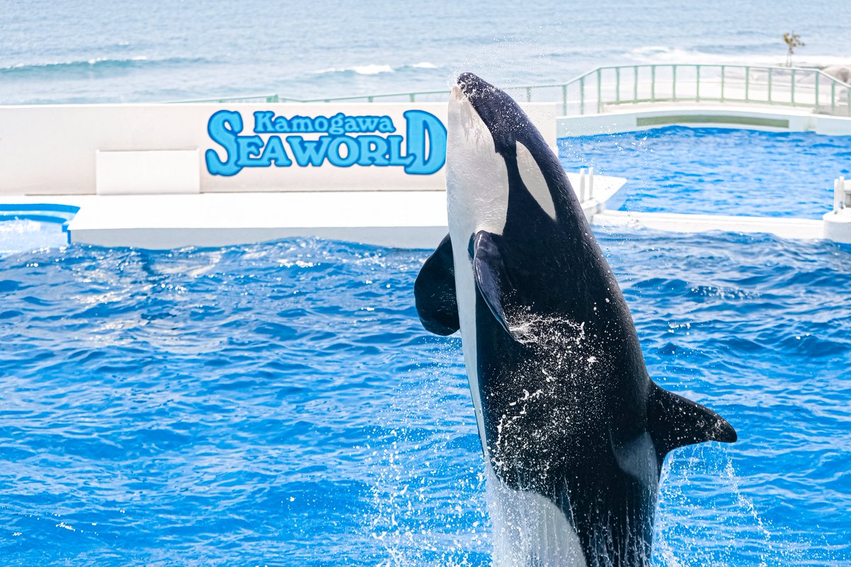 SNSで「行きたいけど遠いなー」というリアルなお声を目にして唇を