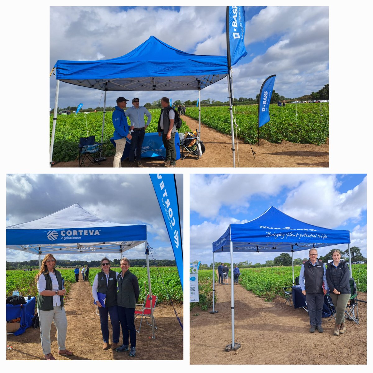 Megan Edmonds (@edmondsmeg) on Twitter photo 2/4 As ever we have a whole host of Agchem plots on display today sign up to trials tours with <a href="/AgriiUK/">Agrii</a> <a href="/BASFcropUK/">BASF Agricultural Solutions UK</a> <a href="/Bayer4CropsUK/">Bayer Crop Science UK</a> <a href="/certis_belchim/">Certis Belchim UK</a> <a href="/CortevaUK/">Corteva UK</a> <a href="/GowanUK/">Gowan UK</a> <a href="/NufarmUK/">Nufarm UK & Ireland</a> <a href="/SyngentaUK/">Syngenta UK</a> <a href="/UPLCorp_UK/">UPL Corp United Kingdom</a> to find out more about what is on offer #EurofinsPotatoOpenDay2024 2/4 As ever we have a whole host of Agchem plots on display today sign up to trials tours with <a href="/AgriiUK/">Agrii</a> <a href="/BASFcropUK/">BASF Agricultural Solutions UK</a> <a href="/Bayer4CropsUK/">Bayer Crop Science UK</a> <a href="/certis_belchim/">Certis Belchim UK</a> <a href="/CortevaUK/">Corteva UK</a> <a href="/GowanUK/">Gowan UK</a> <a href="/NufarmUK/">Nufarm UK & Ireland</a> <a href="/SyngentaUK/">Syngenta UK</a> <a href="/UPLCorp_UK/">UPL Corp United Kingdom</a> to find out more about what is on offer #EurofinsPotatoOpenDay2024