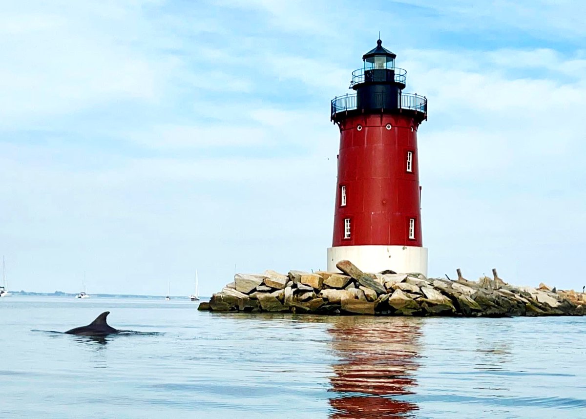 Nicole Schofer tweet media