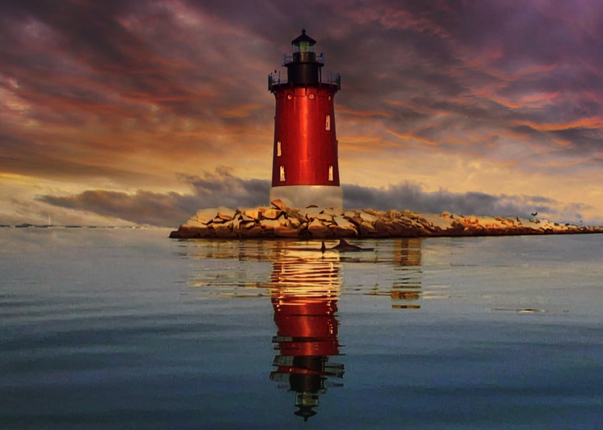 Nicole Schofer tweet media