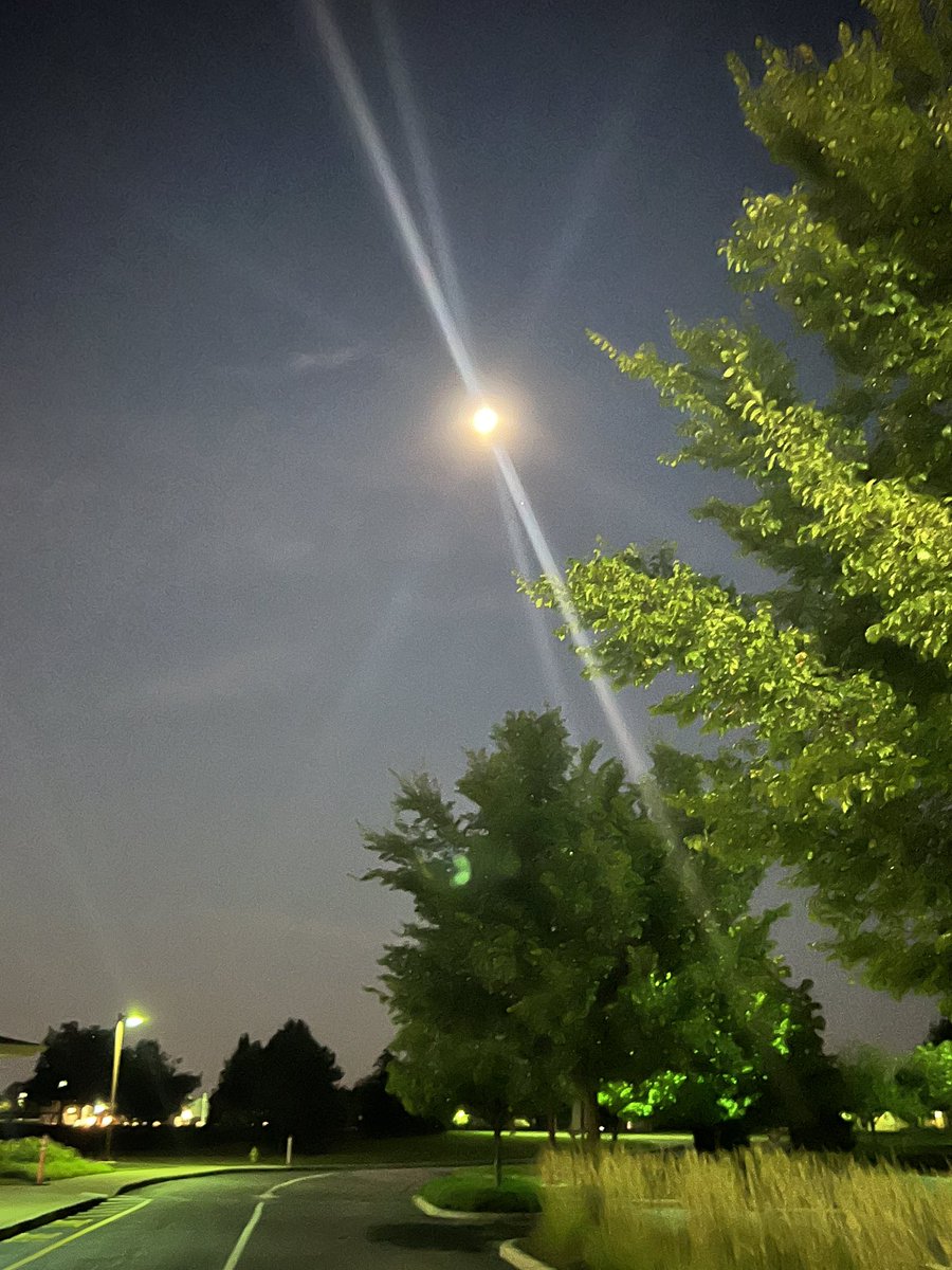 Jill Schipp tweet media