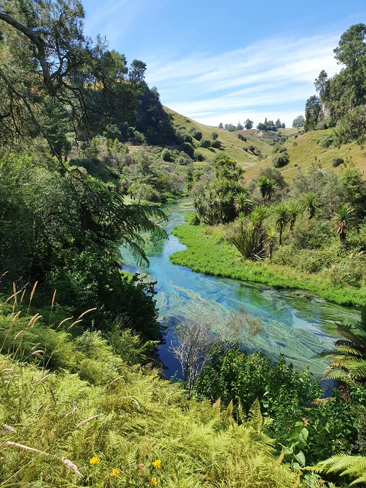michashikes's tweet photo. Hiking the Putaruru Blue Springs, Te Waihou Walkway in Aotearoa New Zealand
#bluesprings #putaruru #putarurubluesprings #tewaihouwalkway #aotearoa #newzealand #river #turquoise #bush #wanderlust #hiking #hikingadventures #outdoors #nature #naturephotography https://t.co/cEebto4lJ2