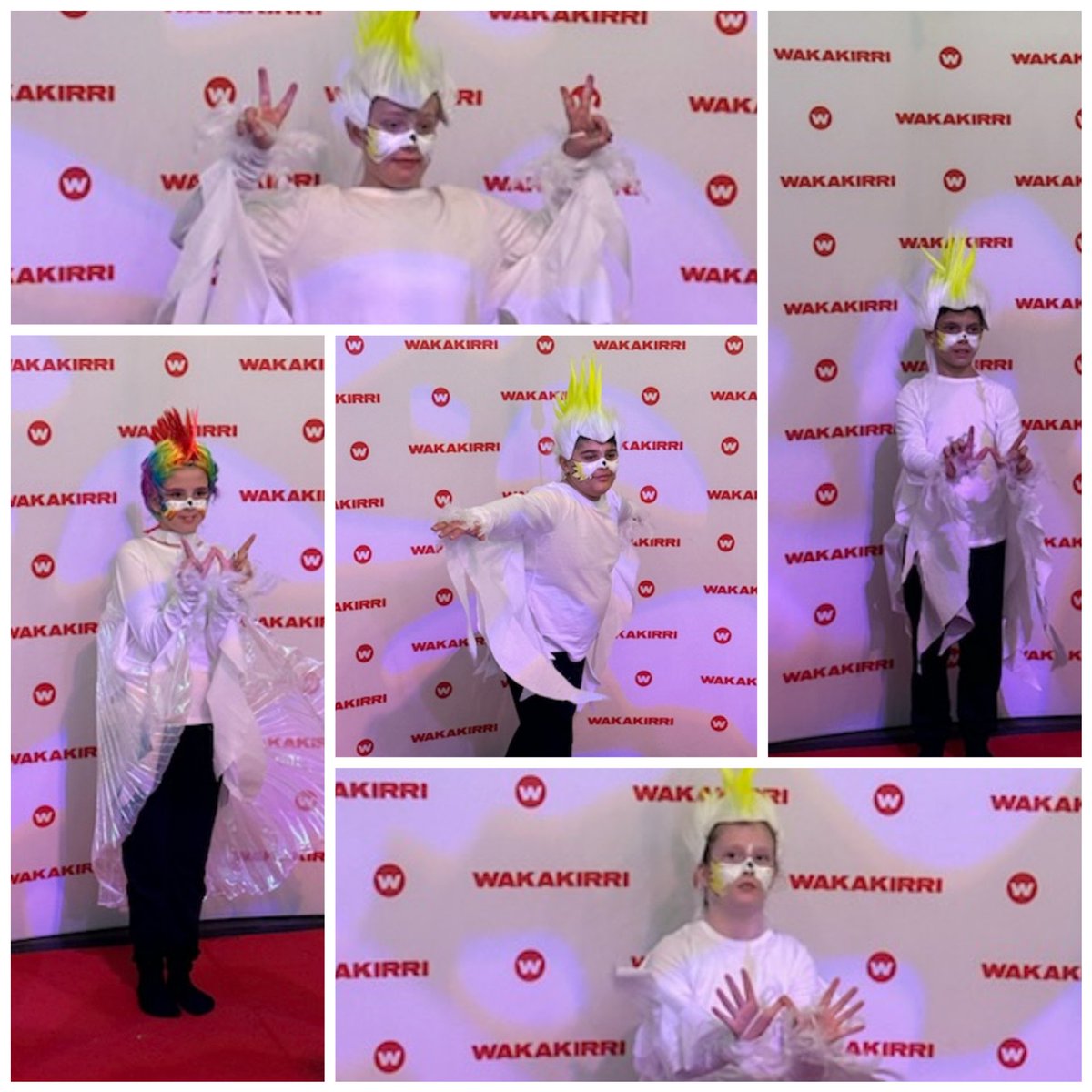 Michelle Gomes tweet media