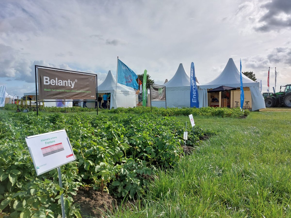 Wees welkom vandaag op de aardappeldemodag bij BASF (stand 90) met veel kennis over phytophthora #EnervinSC, alternaria #Belanty, rhizoctonia #Allstar en aardappelbewaring #14SIGHT. De specialisten staan voor u klaar!