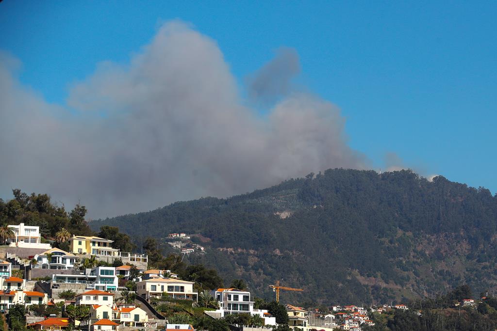SafeComPortugal's tweet photo. Fires in Madeira
Associação Safe Communities Portugal has created an incident page on its website, covering the fires with latest updates, charts, photos and emergency contact information https://t.co/N1J29RFlJD https://t.co/w77wpla9kq