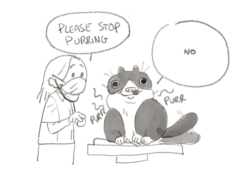 A_Zedig_Diboine's tweet image. found this old drawing of the vet not being able to hear my cat's lungs or heartbeat because he was purring too loud and they had to wait like 10 minutes for him to stop purring