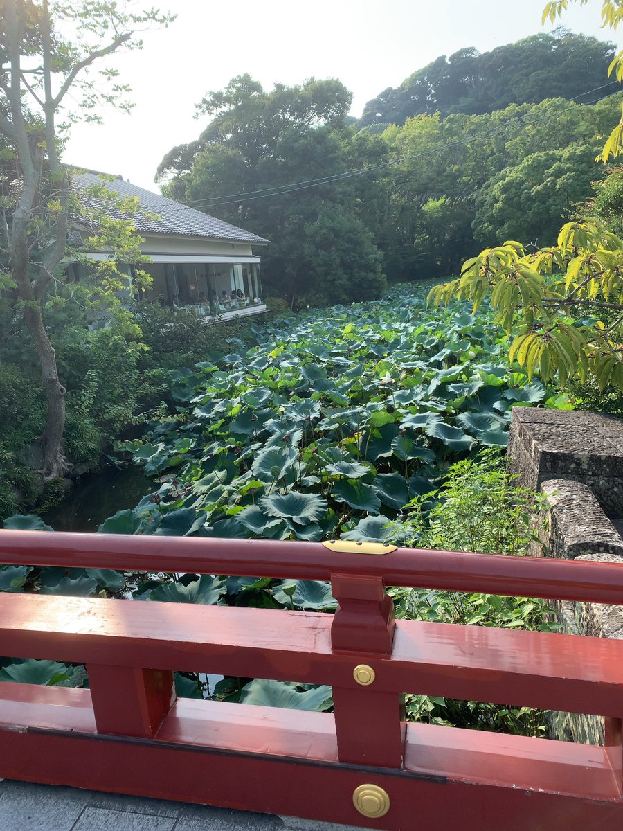 Orca_desu's tweet photo. 友達が遊びに来たので一緒に鎌倉行ってきた! https://t.co/3vUeGCBOC8