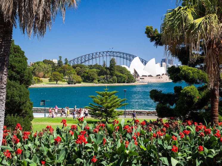 JomAustralia's tweet photo. 🏞️ Royal Botanic Garden
A tranquil oasis in the heart of the city, featuring beautiful gardens, scenic walks, and breathtaking views of the Sydney Harbour. Perfect for nature lovers and picnics! https://t.co/riWG8XabM0