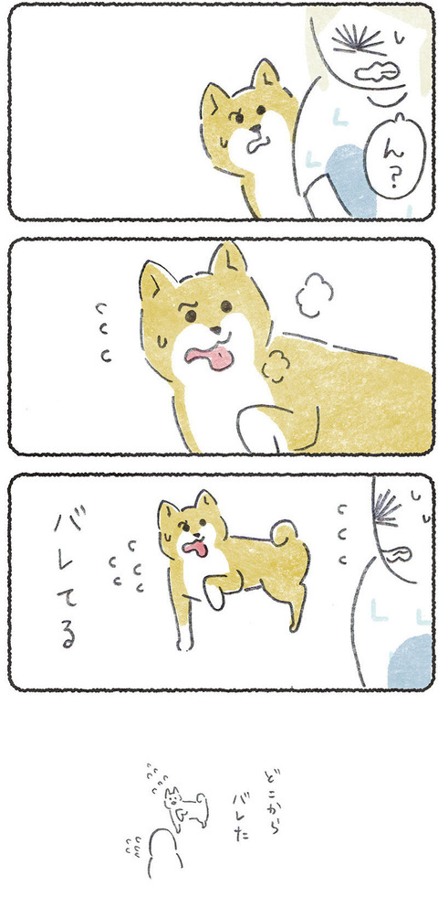 犬に心配かけたくない飼い主と、その犬 