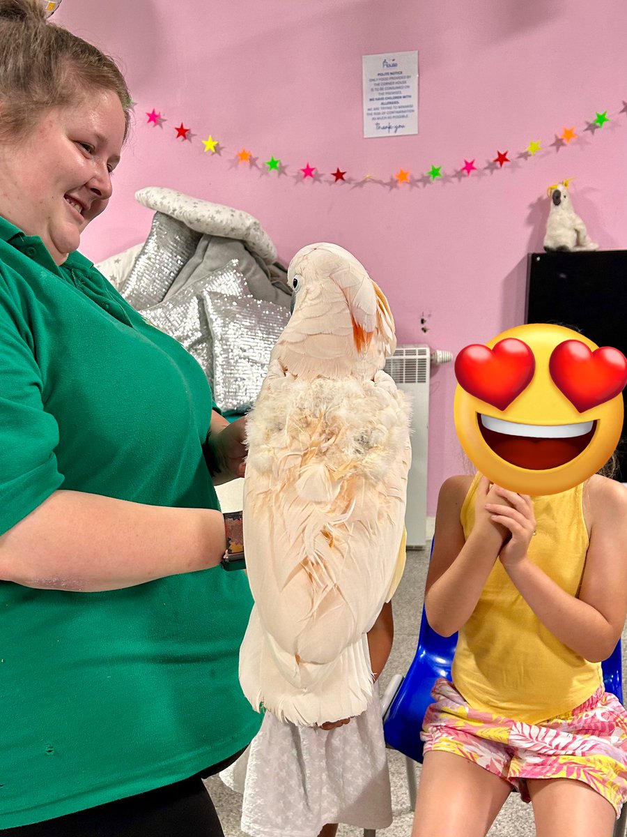 Dawn McKay-Dobbing tweet media