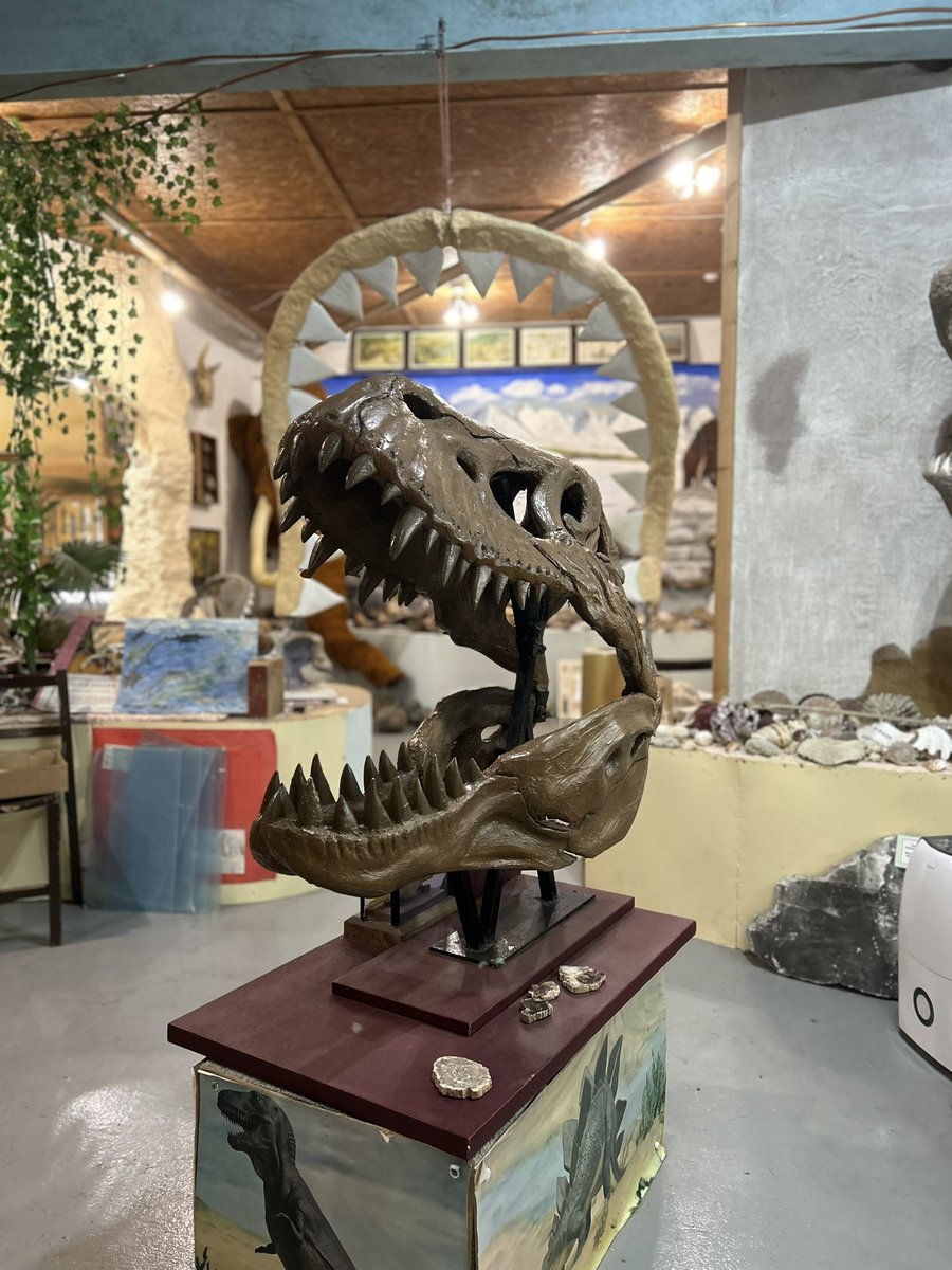 Dawn McKay-Dobbing tweet media