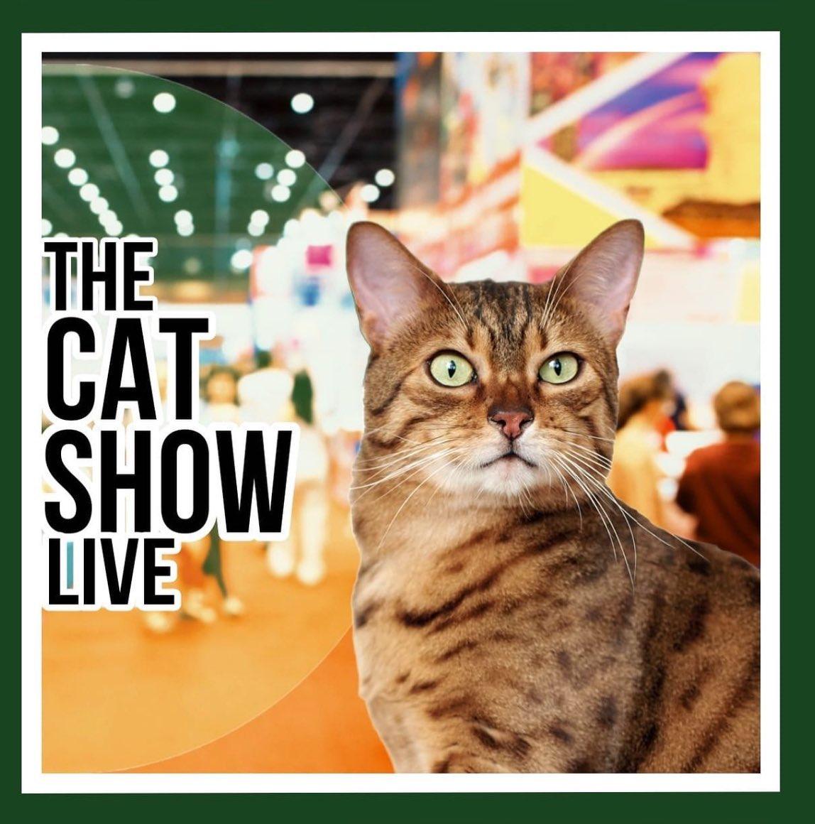 Win Your Way to Purrfection: The Cat Show Live Ticket Giveaway in Birmingham!: The post Win Your Way to Purrfection: The Cat Show Live Ticket Giveaway in Birmingham! appeared first on Katzenworld - Welcome to the world of cats!. 

Join us… dlvr.it/TC9x0B via <a href="/kattavinir/">kattavinir</a>