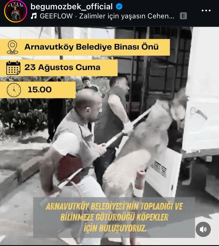 Şu hale bakın! Yemin ederim Ortaçağ'ı anlatan bir film sahnesi mi diye baktım ilk gördüğümde.Dünyanın hiç bir MEDENİ ülkesinde görülmeyecek bir vahşetin fotoğrafıdır bu.  <a href="/ArnavutkoyBel/">Arnavutköy Belediyesi🇹🇷</a> ve Başkanı Mustafa Cenderoğlu; vicdan, merhamet duygusu hiç mi rahatsız etmiyor sizi?