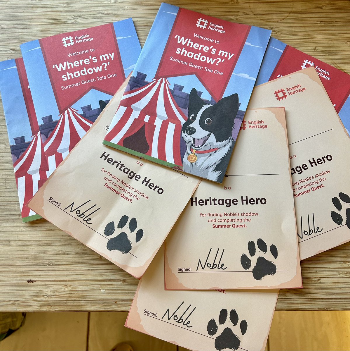 Dawn McKay-Dobbing tweet media