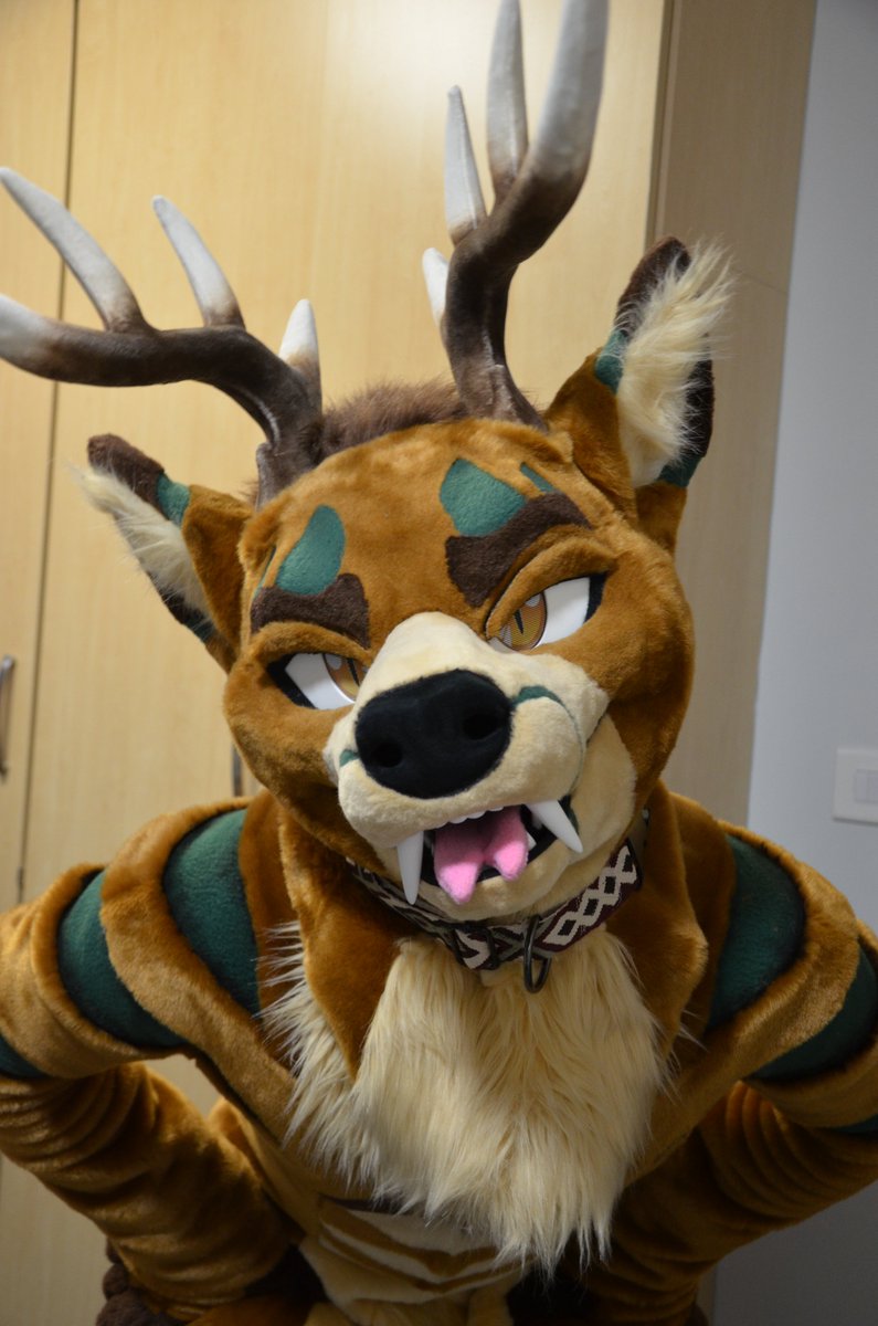 Sol ✨🇬🇧 tweet media