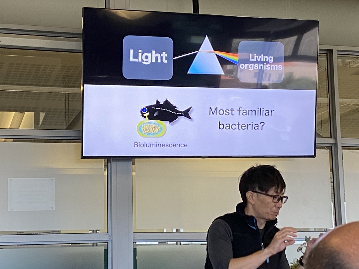 daughteroftyme's tweet photo. @IMBM_Lab_UWC @robdfinn @MortenLimborg @BlueRemediomics @UWConline @emblebi @evohologen Susumu Yoshizawa from University of Tokyo shared new insights into bioluminiscence in marine bacteria - amazing time lapse videos. https://t.co/hyNJmPgipD