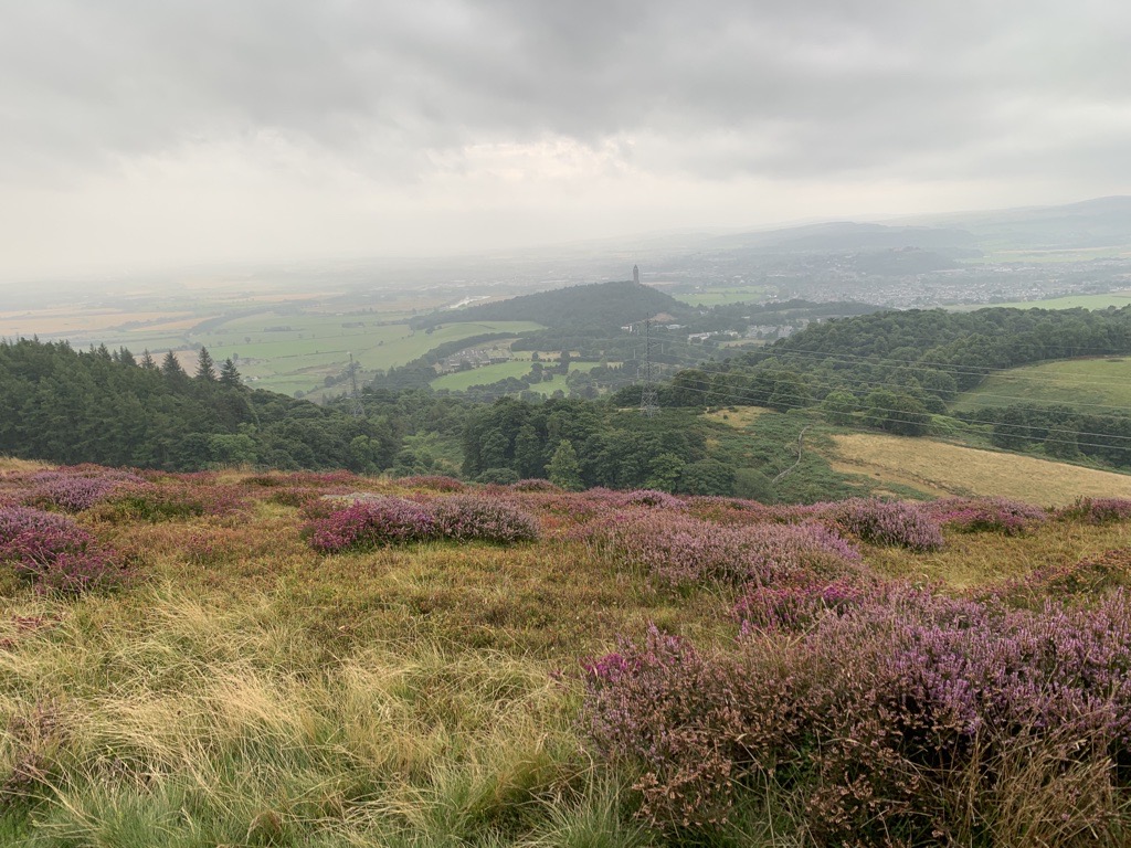IUCN UK Peatlands tweet media