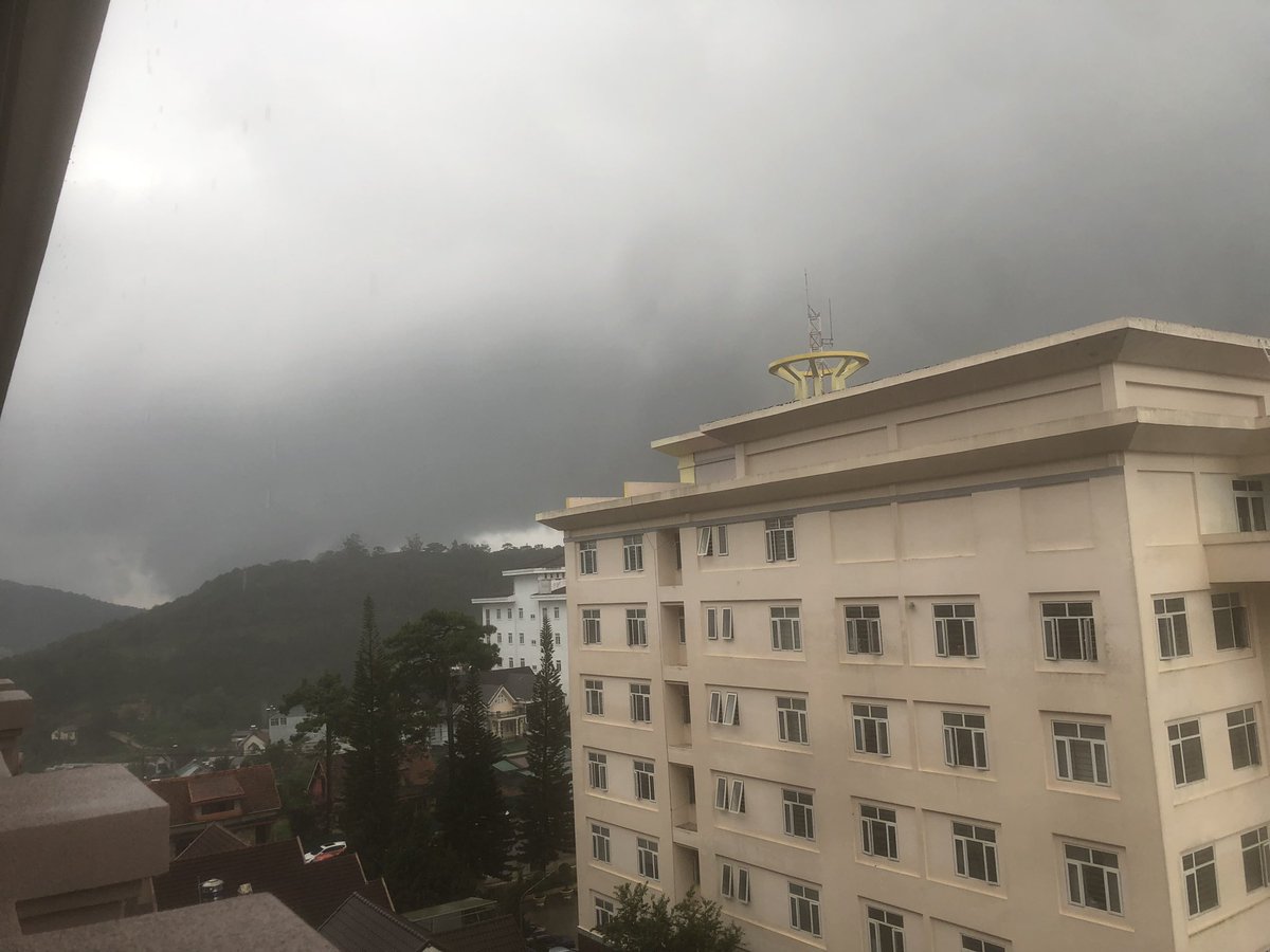 LongTra29767583's tweet photo. Đà lạt ngày mưa https://t.co/0ZEqIeDM9n