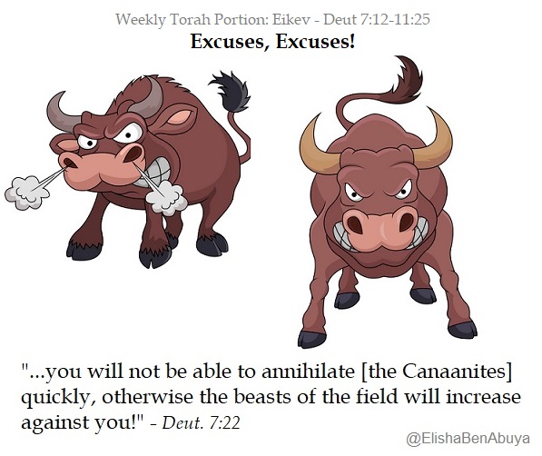 Elishabenabuya's tweet photo. In this week's #Torah portion, Moses explains to the people to conquer the land, but not too quickly because apparently God cannot control the animal population and needs the Canaanites!
#EBAMeme
#Eikev https://t.co/ZMgYO7jKfr