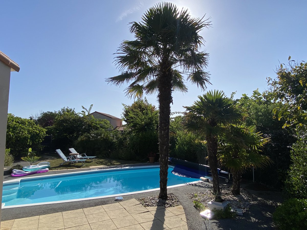 Yttap67's tweet photo. Goedemorgen,
Bonjour 👋🏻
#salutions #Vendée 🇫🇷😎
Waar de zon al vroeg aangenaam
warm is en volop schijnt!
In goed gezelschap
#Deflessentrekker 🍷🍇
want in het land van @iljagort
lees je natuurlijk…
#alsGodinFrankrijk https://t.co/zzgj2cdmGj