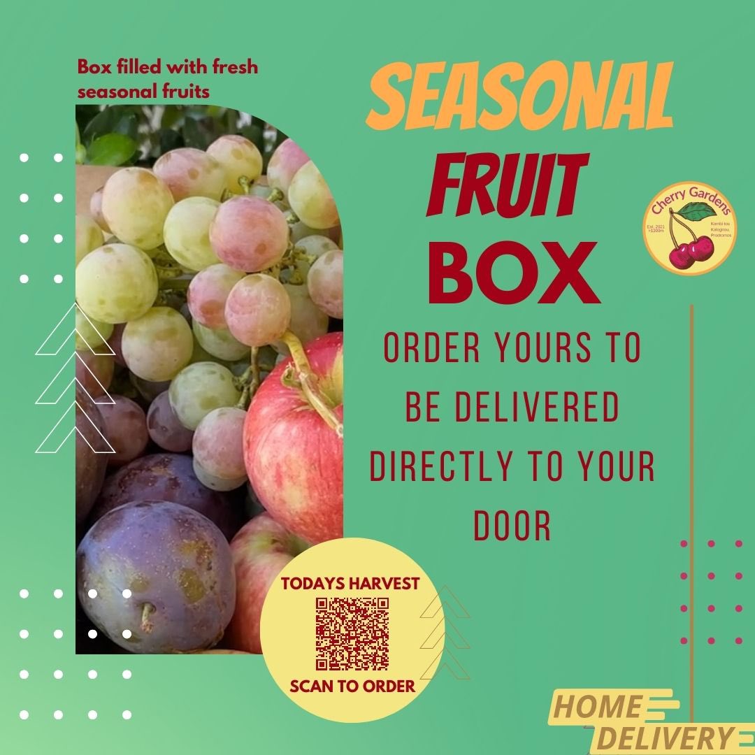 CherryCyprus's tweet photo. Summer Fruit Mystery Boxes now available on Wolt store https://t.co/BnKw0hYVd8
