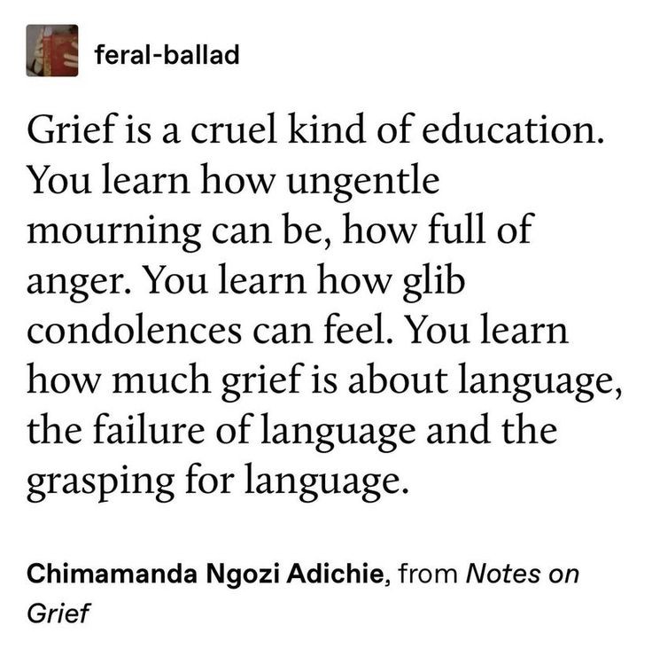 🍂 tweet media